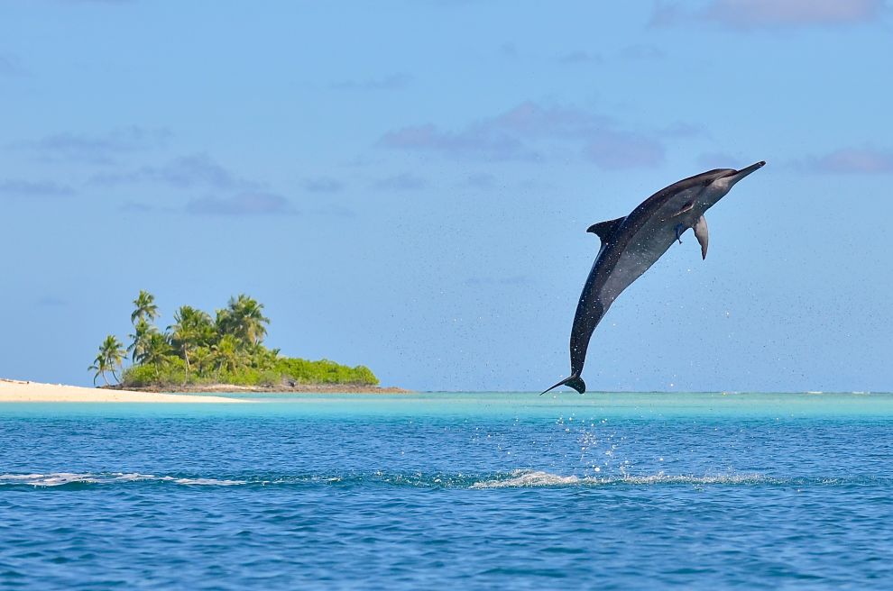 L'île paradisiaque - Chagos